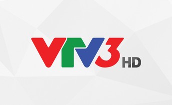 Lịch phát sóng VTV3 ngày 19/12/2024 Ổn Định Nhất Chất Lượng Cao ...