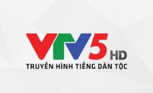 Lịch phát sóng VTV5 ngày 26/12/2024 Ổn Định Nhất Chất Lượng Cao ...